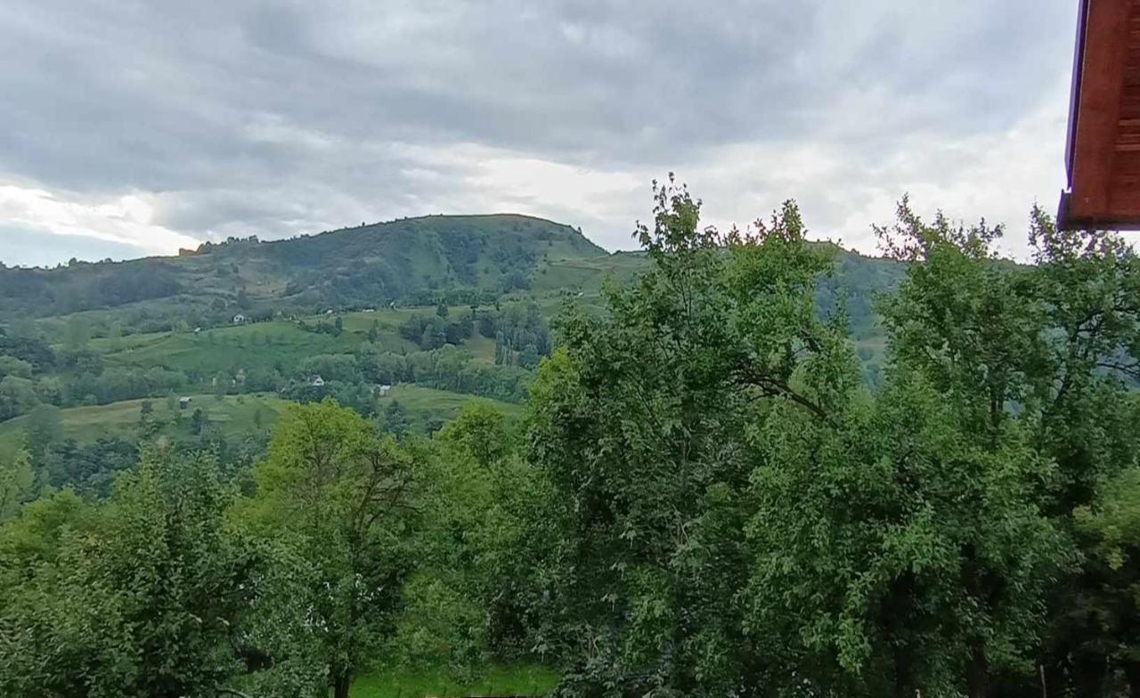 Casuta Din Livada Βίλα Moisei Εξωτερικό φωτογραφία